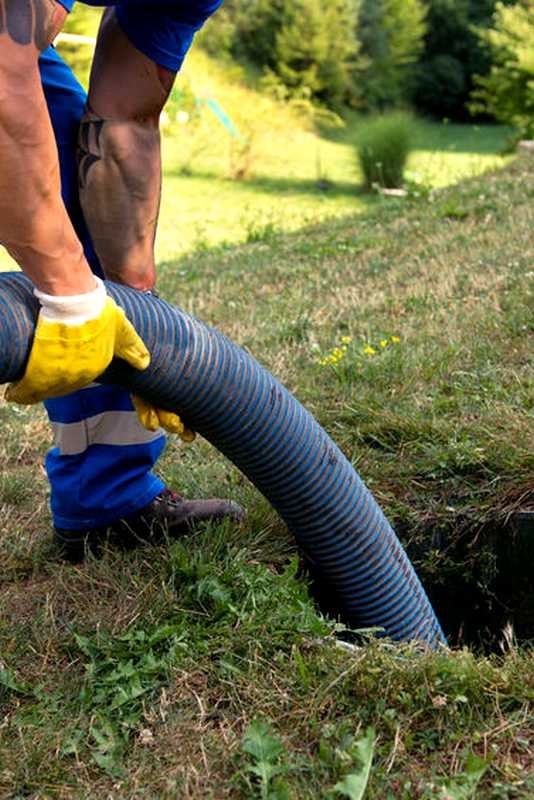 Gribomont Sciage Sol